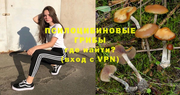 винт Беломорск